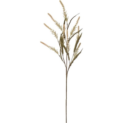 KONÁR SOLIDASTER KRÉ/ORA 85CM