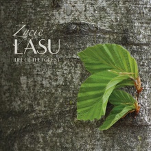 Zycie lasu