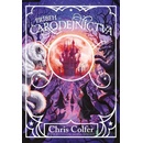 Príbeh čarodejníctva - Chris Colfer