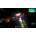 Space Hulk: Ascension
