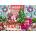 Ravensburger - Puzzle Christmas Boutique - 500 piese