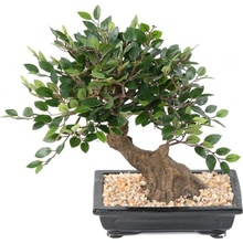 Umělý Bonsai Jilm v květináči, 30cm