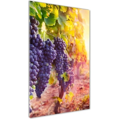 Vertikálny foto obraz fotografie na skle Vinice 50x100 cm