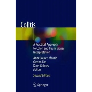 Colitis | Anne Jouret-Mourin, Gavino Faa, Karel Geboes (ISBN: 9783319895024)