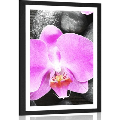 Plakát s paspartou nádherná orchidej a kameny - 20x30 black