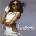 Ciara - Evolution CD