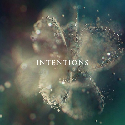 DJ Anna - Intentions 2 LP