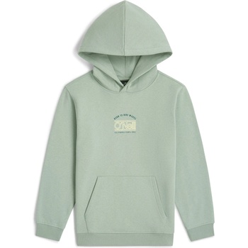 O'Neill Детски суичър O'Neill Kid's Graphic Hoodie - Marble Arch - размер 164 (EU) (704-6068-0215)