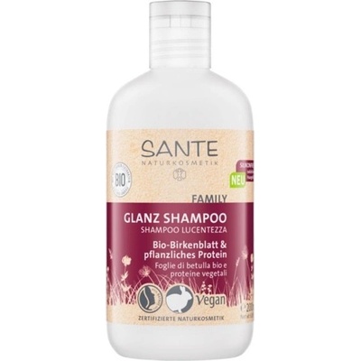 Sante Šampón Gloss brezový 250 ml
