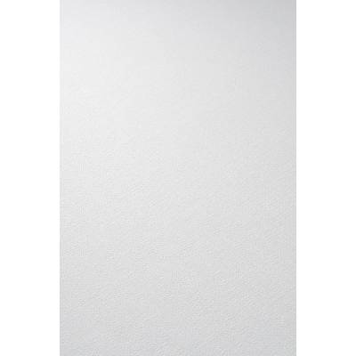 Erismann B10606-01 vliesová Bílá strukturovaná vliesová tapeta, rozměry 10,05 x 0,53 m