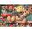Anatolian - Puzzle Read: Toy Cupboard Kitten - 260 piese