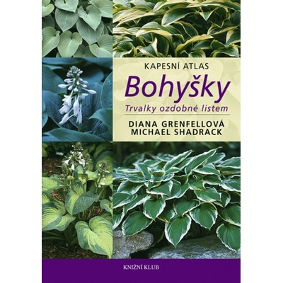Bohyšky