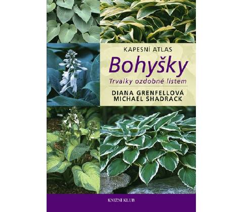 Bohyšky