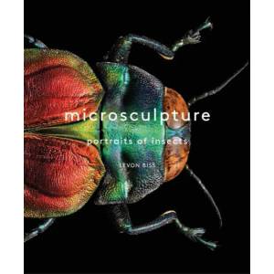 Microsculpture (ISBN: 9781419726958)