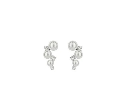 Diamonfire Stříbrné náušnice E6192
