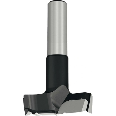 IGM C31735041