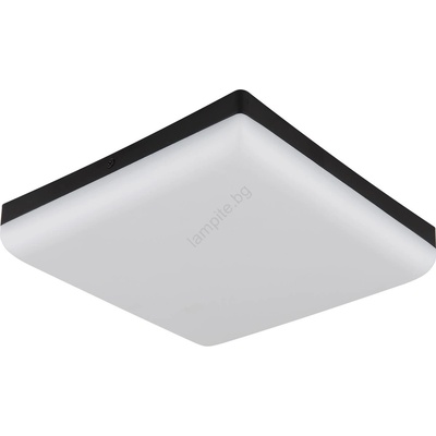 GLOBO MATTHEW 12388-18