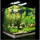 Dennerle Nano Cube Complete 60 l