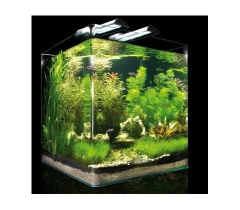 Dennerle Nano Cube Complete 60 l