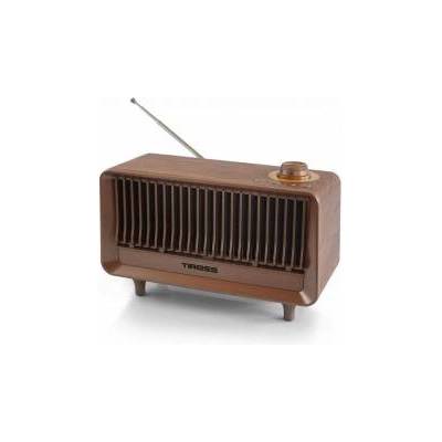 Gravastar Modern radio in vintage style Tiross TS-464