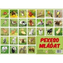 Pexeso Mláďata
