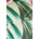 Guess Гащеризон Guess ALICE (W5GD72.KBAC2)