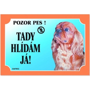 Dafiko Tabulka Kavalier king charles španěl