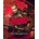 Shadow Warrior (Special Edition)