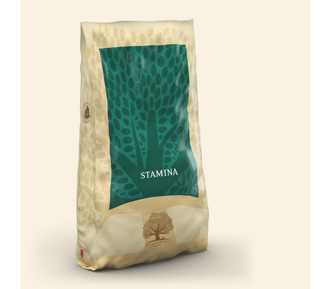 Essential Stamina 10 kg