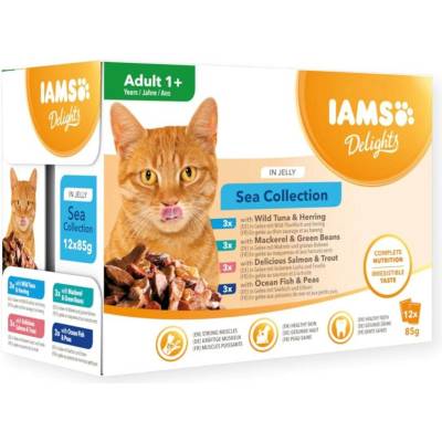 IAMS DELIGHTS Adult Sea in Jelly box vådfoder til kat 12x85 g