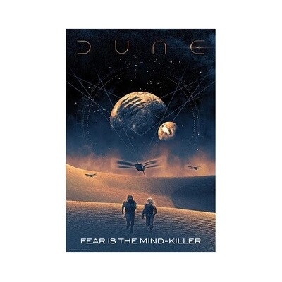 Plagát, Obraz - Dune - Fear is the mind-killer, 61 × 91.5 cm