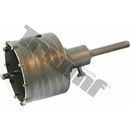 Triumf 100-03379