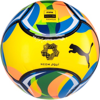 PUMA Beach football fifa qualty 5