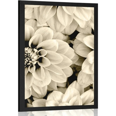 Plakát květiny dálí v sépiovém provedení - 20x30 black