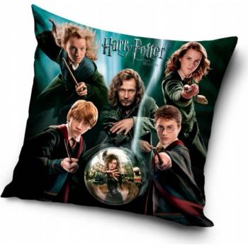 Carbotex Harry Potter 40 x 40 cm