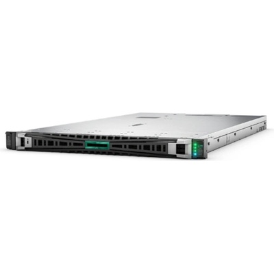 HP ProLiant DL360 G12 P90000-425