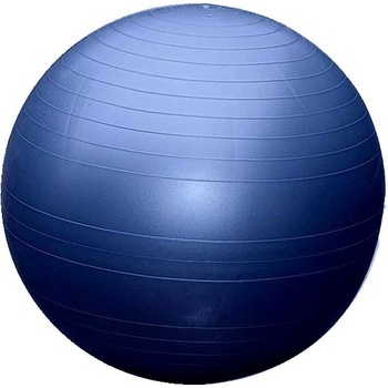 Sedco Fitball 65cm