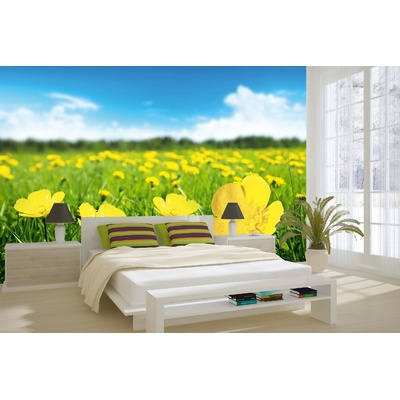 DIMEX ART Самозалепваща се флизелинова фототапета слънчев ден 375 x 250 см