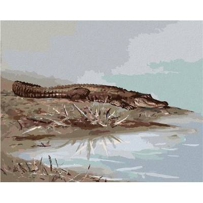 zuty Malování Podle Čísel Aligátor Ležící U Vody D. Rusty Rust 40 x 50 Cm Plátno Rám