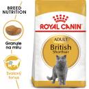 Royal Canin British Shorthair Adult 400 g