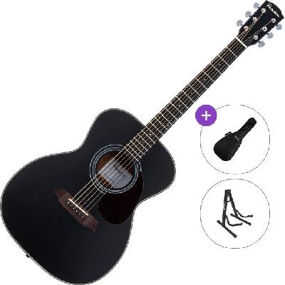 Pasadena PG-200 Standard SET Black Джъмбо китара