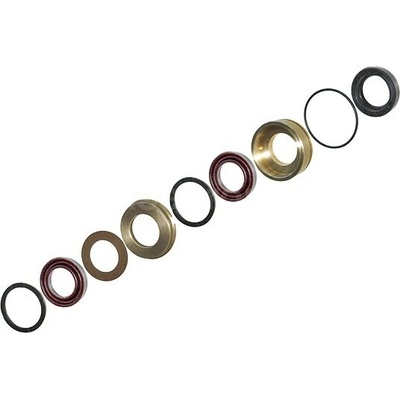 Seals kit DN22 HAWK XLT with brass
