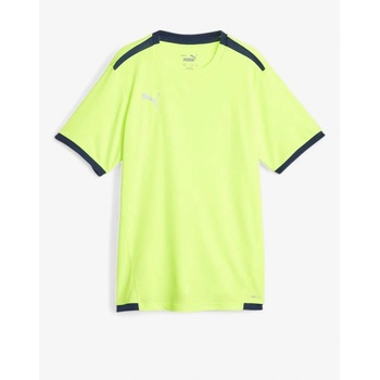 PUMA TeamLiga DryCell Football Tee Green