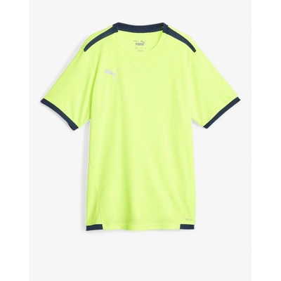 PUMA TeamLiga DryCell Football Tee Green