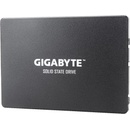 Gigabyte 256GB, GP-GSTFS31256GTND
