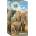 EUROGRAPHICS - Puzzle Elephant - 250 piese