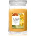 Yankee Candle Starfruit & Sunshine ароматна свещ 567 гр