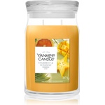 Yankee Candle Starfruit & Sunshine ароматна свещ 567 гр
