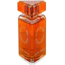 State of Mind Aesthetic Turbulence EDP 100 ml