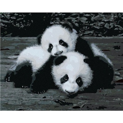zuty Malování Podle Čísel Pandy V Zoo 80 x 100 Cm Plátno Rám
